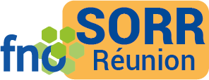 Auteur/autrice : <span>formation@sorr-reunion.net</span>